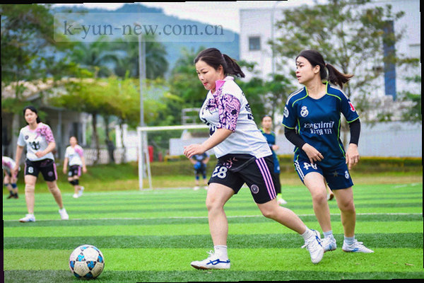 平板屏幕上显示导出设置框，可选择CSV或PDF格式